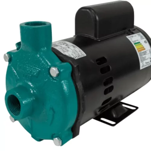 Motobomba centrífuga 2,0 cv  monofásica Modelo Standard - ECS-200M