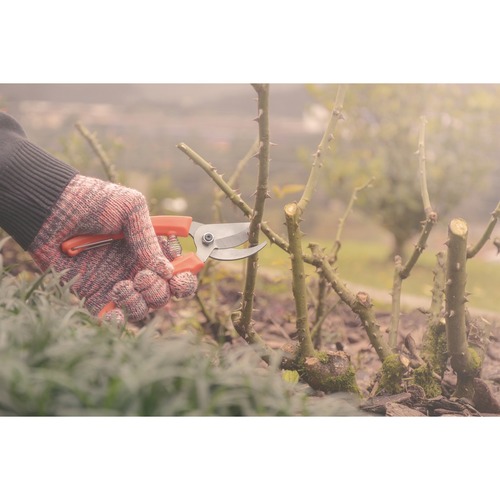 Tesoura de poda com lâmina metálica e cabo plástico Tesoura de poda com lâmina metálica e cabo plástico