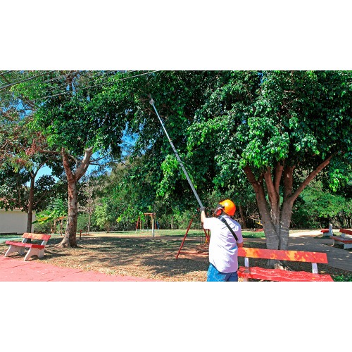 Podador de galhos a gasolina haste telescpica com sabre de 10