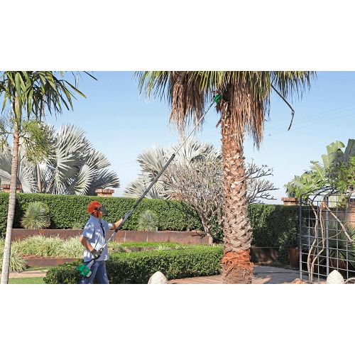 Podador de galhos a gasolina haste telescpica com sabre de 10