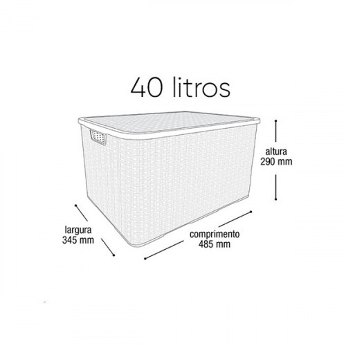 Kit 2 Caixas organizadoras com tampa 40 litros - Rattan