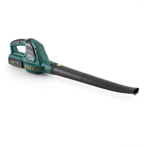 Combo Aparador de grama a bateria 24V + Soprador de folhas 24V - AGSP24B-2FC  110V/220V