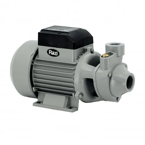 Motobomba periférica 1 hp monofásica - RZ-BP750  220V