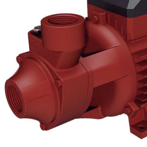 Motobomba perifrica 1 cv monofsica - BPL50  110V/220V