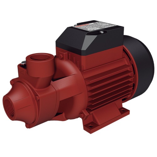 Motobomba perifrica 1 cv monofsica - BPL50  110V/220V