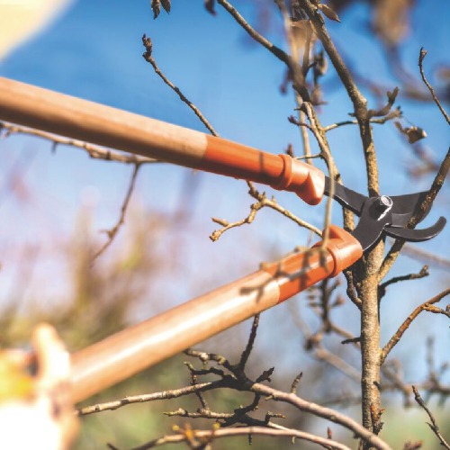 Tesoura de poda cabo de madeira comprido 60 cm Tesoura de poda cabo de madeira comprido 60 cm