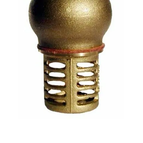Válvula de pé para poço com crivo 1