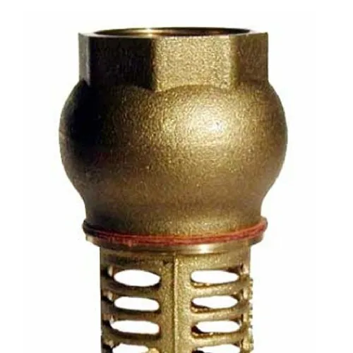 Válvula de pé para poço com crivo 1