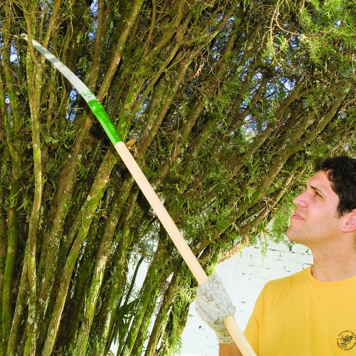 Serrote para poda com cabo longo 12