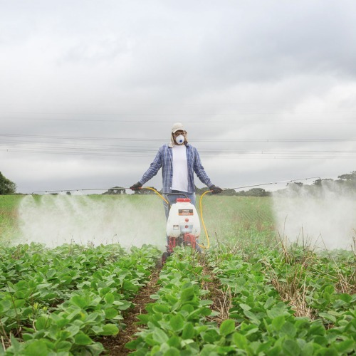 Pulverizador costal a gasolina 1 hp 25L com carrinho - PC260TKDL-Q Pulverizador costal a gasolina 1 hp 25L com carrinho - PC260TKDL-Q