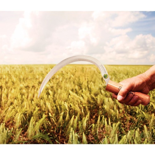 Foicinha com dente e cabo de madeira com 13 cm - 12 dentes por polegada Foicinha com dente e cabo de madeira com 13 cm - 12 dentes por polegada