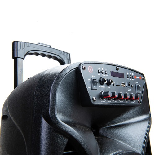 Caixa de som amplificada 480W RMS - ACA 480 VIPER II  110V/220V