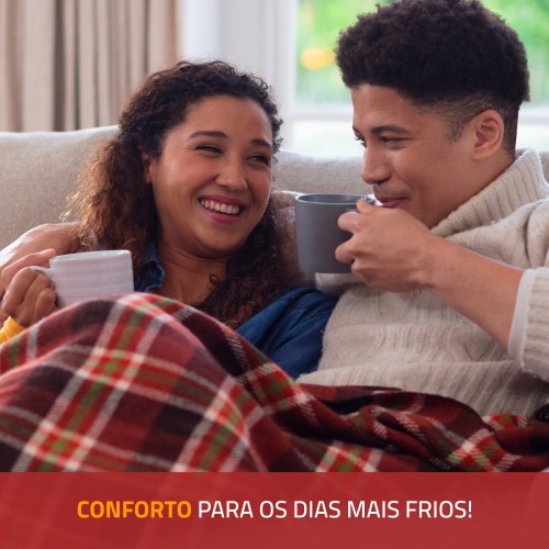 Aquecedor de ambientes 1.500 watts a leo - A-06  220V