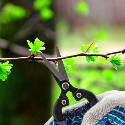 Tesoura para poda 7