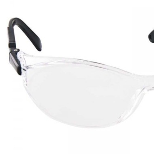 culos de segurana - PIT BULL