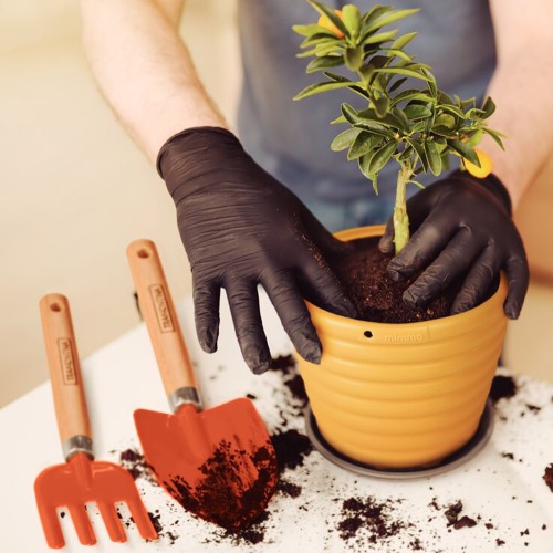 Garfo para afofar terra com cabo de madeira Garfo para afofar terra com cabo de madeira