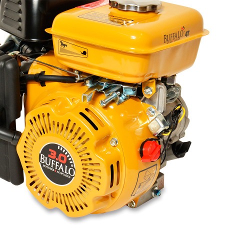 Motor a gasolina 3 hp 4 tempos partida manual - BFG 3.0