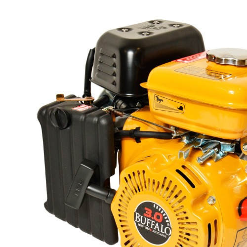 Motor a gasolina 3 hp 4 tempos partida manual - BFG 3.0