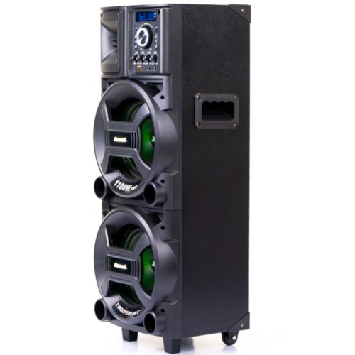 Caixa de som amplificada 1100W RMS com 2 Woofers 8