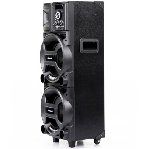 Caixa de som amplificada 1100W RMS com 2 Woofers 8