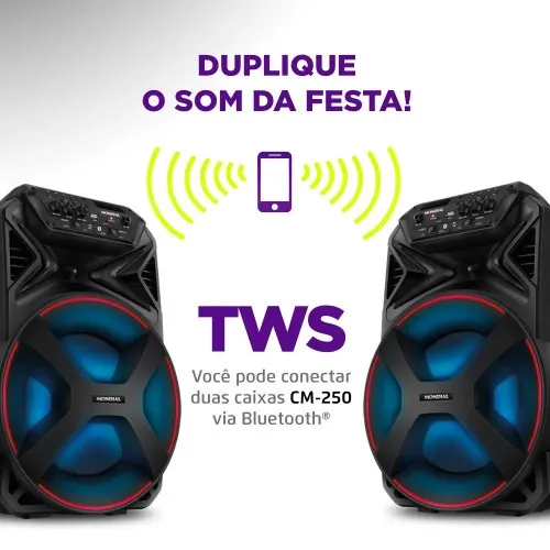 Caixa de som amplificada 250W RMS Bluetooth e FM Connect PartyPlus - CM-250  110V/220V