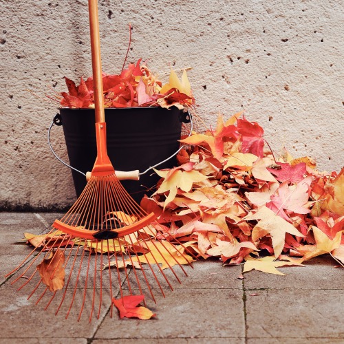 Vassoura metlica regulvel 22 dentes com cabo