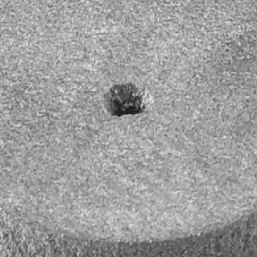 Roda de borracha para microrretífica 22 x 3,9 mm Roda de borracha para microrretífica 22 x 3,9 mm