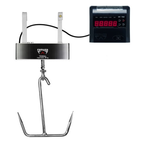 Balana digital tipo gancho 300Kg x 100g display de LED - DT  110V/220V