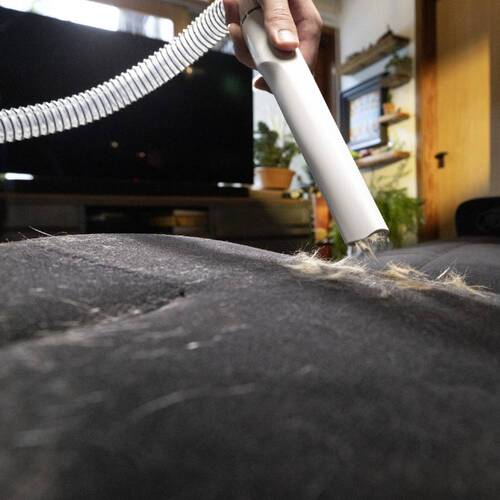 Aspirador de Pelos e Tosador para pets - Pet Clean  110V