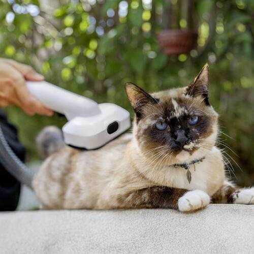 Aspirador de Pelos e Tosador para pets - Pet Clean  110V