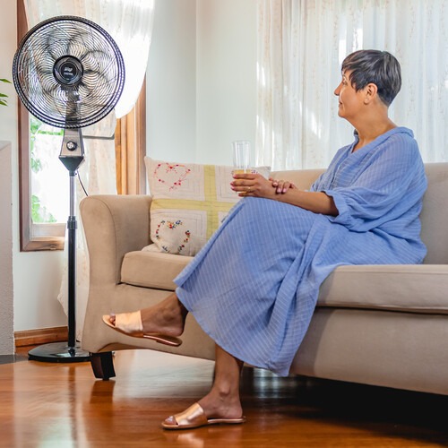 Ventilador de coluna 50 cm oscilante 8 p�s com 3 velocidades Flow Turbo - WV02PR  110V