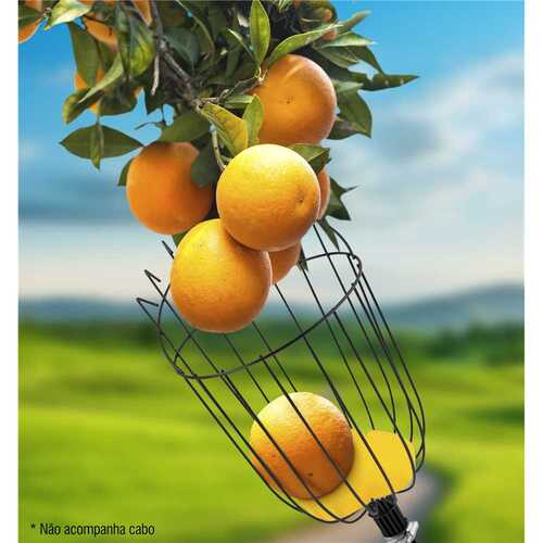 Colhedor de frutas sem cabo CFV 195