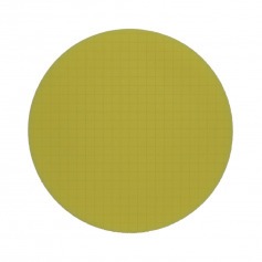 Boina de espuma square para roto orbital 8