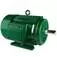 Motor elétrico 3 hp 2 polos blindado IP56 trifásico - Premium IR3
