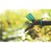 235502_torneira_plastica_para_jardim_78440_504