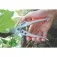 Tesoura manual para poda - 78316/501