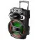 Caixa de som amplificada 850W RMS - ACA 800 GLADIADOR  110V/220V