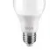 Lâmpada led bulbo 9W 810 lúmens branca fria - A60  110V/220V