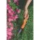 Tesoura para grama com cabo plástico 35 cm - 78322/501