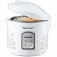 Kit Panela elétrica de arroz Bianca Rice NPE-05-5X + Espremedor de frutas 1,25L E-01  110V