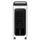 Climatizador de ar quente e frio display touch 5 em 1 com controle remoto - PCL10QF  220V
