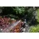 Pulverizador costal agrícola 20 litros - PC 020 