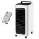 Climatizador de ar quente e frio display touch 5 em 1 com controle remoto - PCL10QF  220V