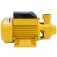 Motobomba periférica 1 hp bivolt - Acquapump  110V/220V Motobomba periférica 1 hp bivolt - Acquapump  110V/220V