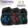 Caixa de som amplificada 250W RMS Bluetooth e FM Connect PartyPlus - CM-250  110V/220V