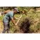 Picareta em aço tamanho 4 com cabo de madeira 90 cm - Alvião