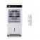 Climatizador de ar port�til 45L evaporativo com controle remoto - CLE045RC  110V