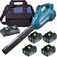 Soprador de folhas 36V com 4 baterias 5Ah Brushless 6 velocidades - DUB362Z4  110V/220V