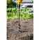 Broca aspiral para jardim 45 mm x 450 mm uso com furadeira