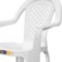 Cadeira pl�stica com bra�os - Jacarecica